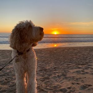 Meet your Posher, Jane